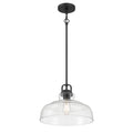10'' Clarien Matte Black 1 Light Pendant