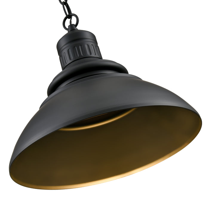 11.5'' Adda Powder Coated Black  Light Hanging Lantern