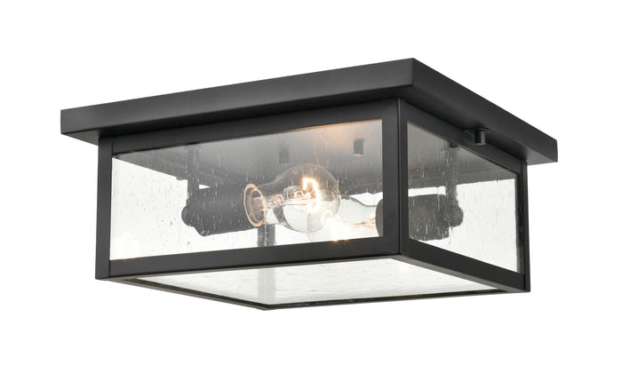 12-inch Evanton Powder Coated Black 2-Light Outdoor Flush Mount Ceiling Light