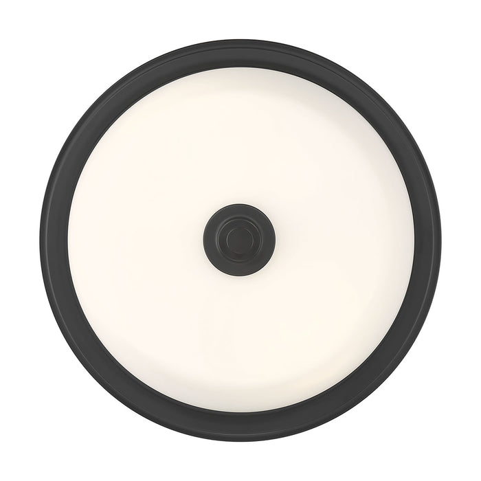 13-inch Strayhan Matte Black 2-Light White Frosted Glass Flush Mount Ceiling Light