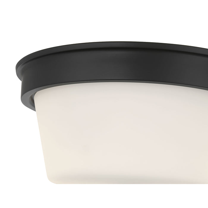 13-inch Strayhan Matte Black 2-Light White Frosted Glass Flush Mount Ceiling Light