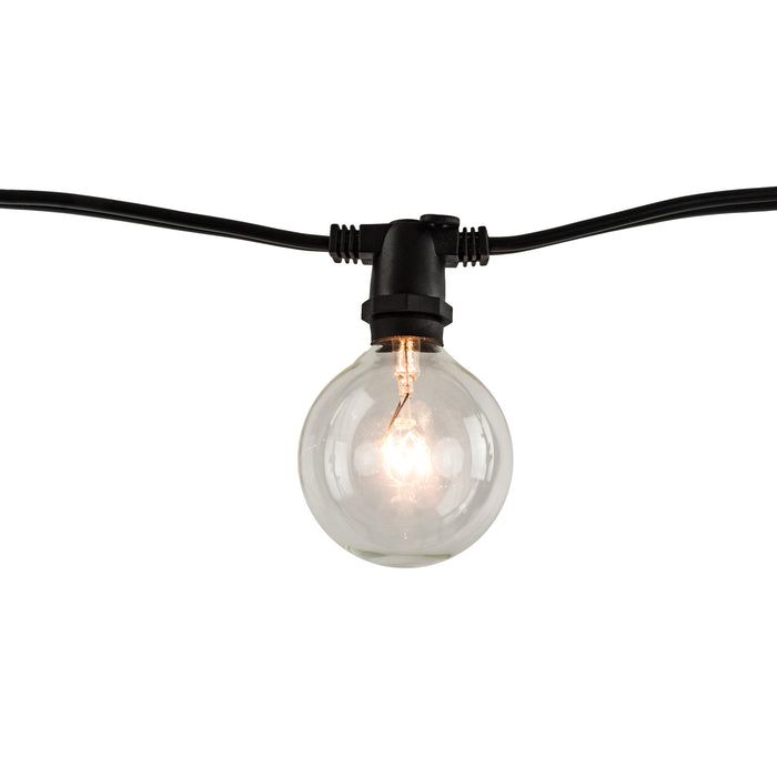 14-foot Black G16 Incandescent String Light Kit with 10 Bulbs, 2700K