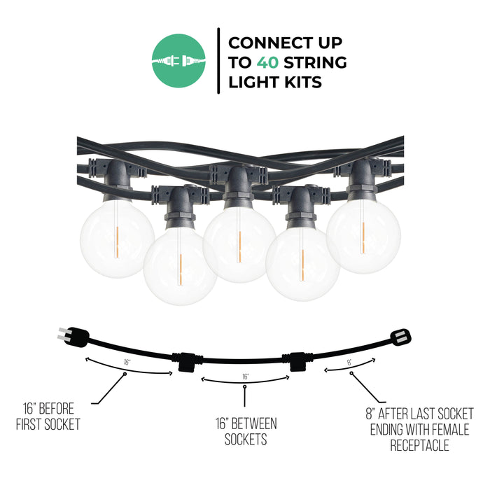 14-foot Black G16 LED String Light Kit with 10 Bulbs, 2700K, 2-Pack
