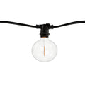 14-foot Black G16 LED String Light Kit with 10 Bulbs, 2700K