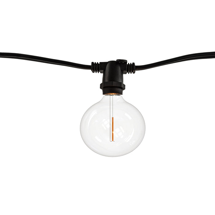 14-foot Black G16 LED String Light Kit with 10 Bulbs, 2700K