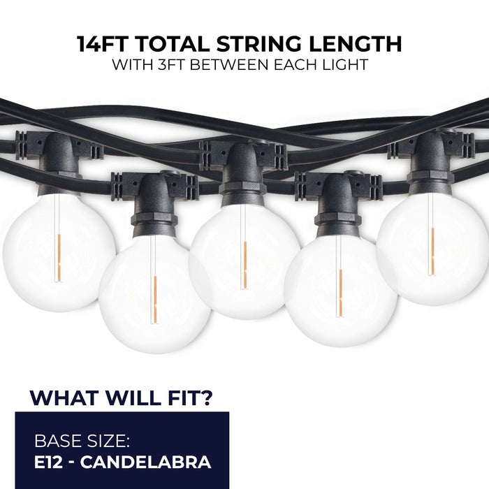 14-foot Black G16 LED String Light Kit with 10 Bulbs, 2700K