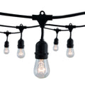 14-foot Black S14 Incandescent String Light Kit with 10 Bulbs, 2700K, 2-Pack