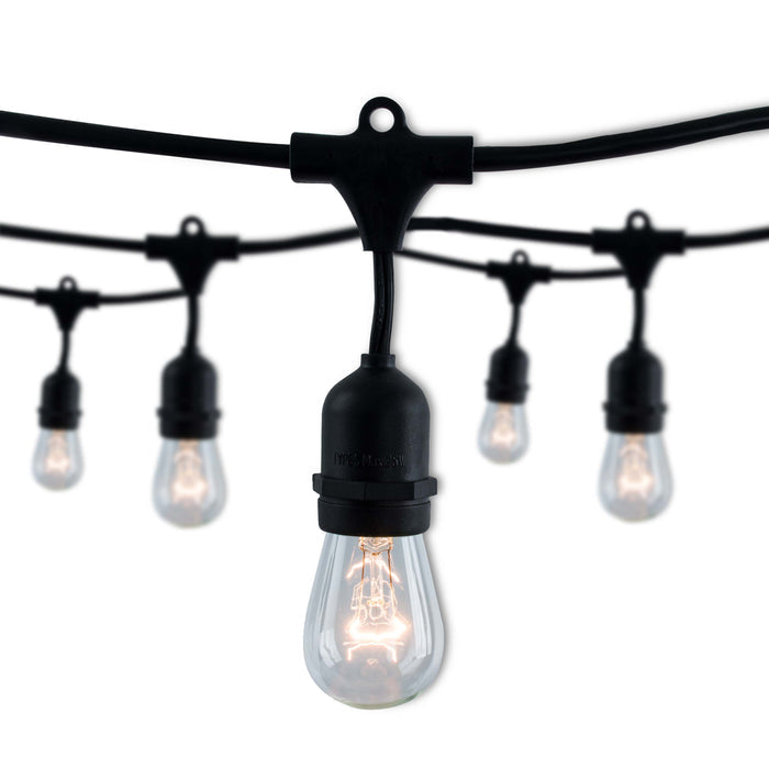 14-foot Black S14 Incandescent String Light Kit with 10 Bulbs, 2700K, 2-Pack