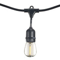 14-foot Black S14 LED String Light Kit with 10 Bulbs, 2700K, 2-Pack