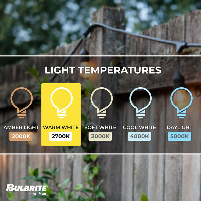 14-foot Black S14 LED String Light Kit with 10 Bulbs, 2700K