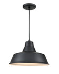 14-inch R Series Satin Black 1-Light Black Glass Pendant Light