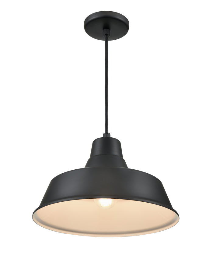 14-inch R Series Satin Black 1-Light Black Glass Pendant Light