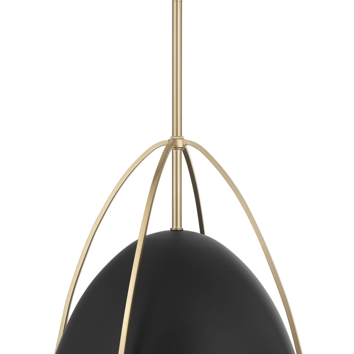 16'' Pomelle Matte Black 1 Light Pendant