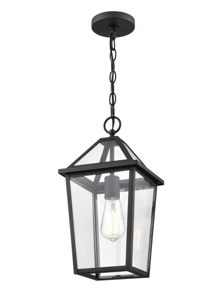16.38'' Eston Textured Black 1 Light Hanging Lantern