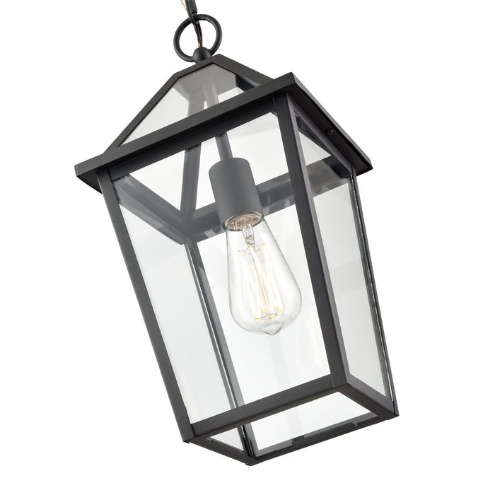 16.38'' Eston Textured Black 1 Light Hanging Lantern