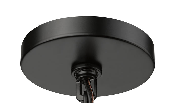 17'' Denzell Powder Coated Black 1 Light Hanging Lantern