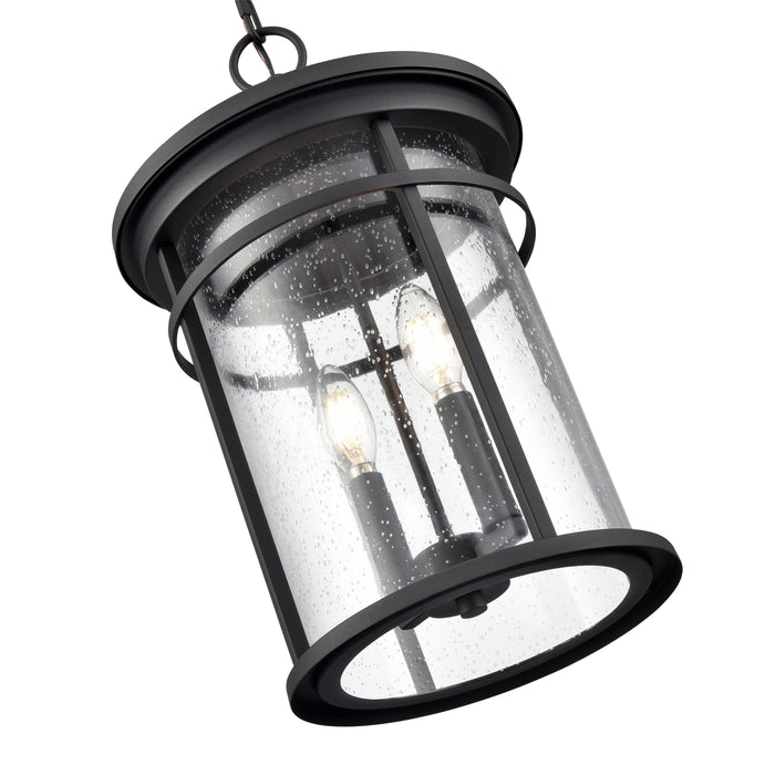 17.5'' Namath Textured Black 2 Light Hanging Lantern