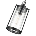 19'' Braselton Powder Coated Black 1 Light Hanging Lantern