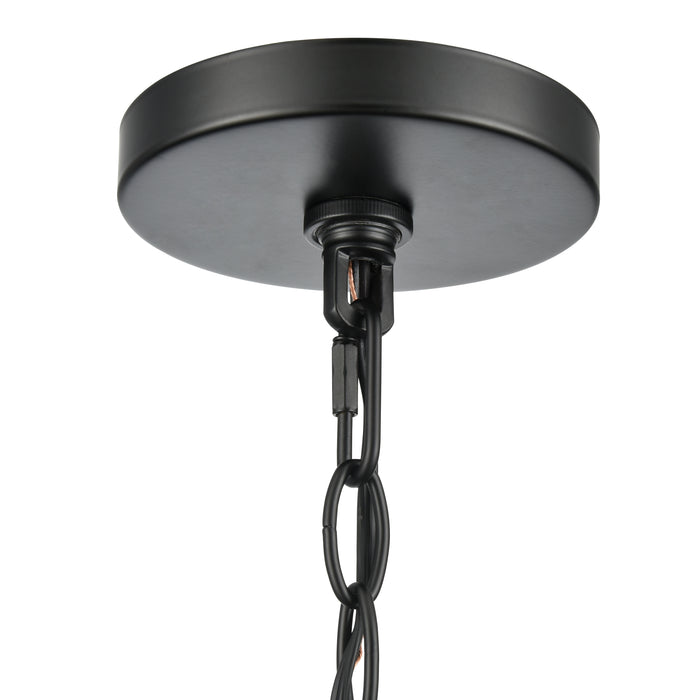 19'' Braselton Powder Coated Black 1 Light Hanging Lantern