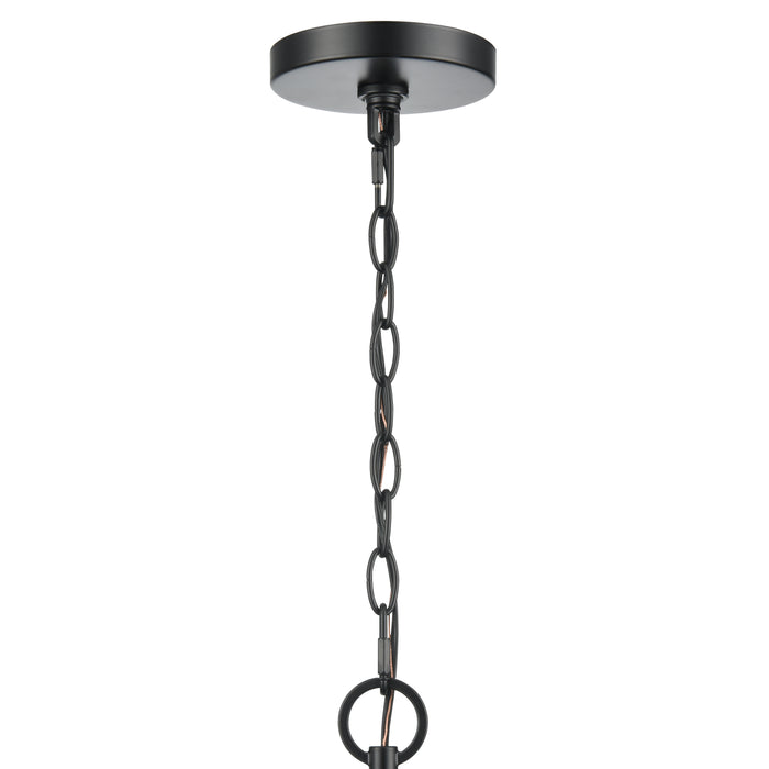 19'' Braselton Powder Coated Black 1 Light Hanging Lantern