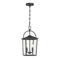 19.25'' Strathden Powder Coated Black 2 Light Hanging Lantern