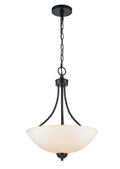 19.75'' Ivey Lake Matte Black 2 Light Pendant