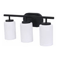 20-inch 3-light Black Vanity Light
