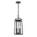 20'' Kendrix Powder Coated Black 2 Light Hanging Lantern