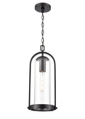 20'' Luxio Powder Coated Black 1 Light Hanging Lantern