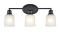 22'' Amberle Matte Black 3 Light Bath Vanity