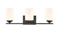 22'' Durham Matte Black 3 Light Bath Vanity