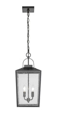 22-inch Devens Powder Coated Black 2-Light Outdoor Hanging Lantern with Clear Seeded Glass
