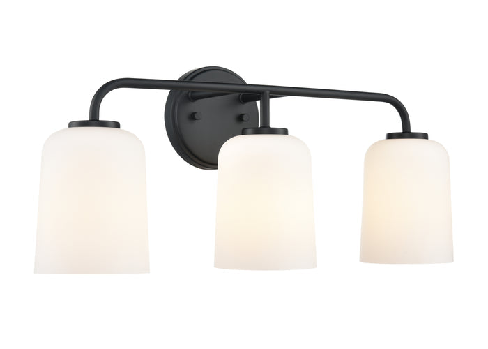 22'' Laphia Matte Black 3 Light Bath Vanity