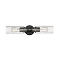 22.5''  Matte Black/Brushed Nickel 2 Light Bath Vanity