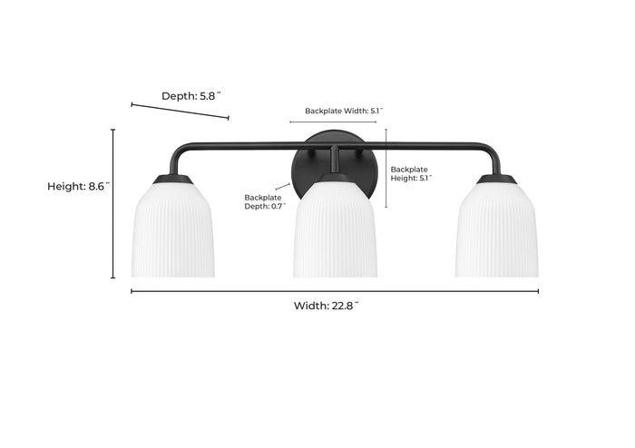 22.75'' Norah Brushed Nickel 3 Light Bath Vanity