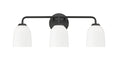 22.75'' Norah Matte Black 3 Light Bath Vanity