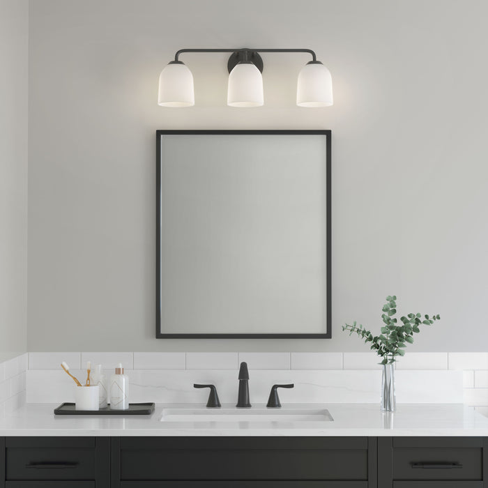 22.75'' Norah Matte Black 3 Light Bath Vanity