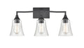 24'' Caily Matte Black 3 Light Bath Vanity