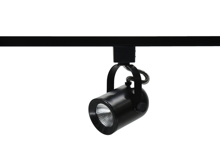 2.5-inch Black Track Head with 3000K Light