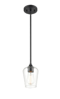 38'' Ashford Matte Black 1 Light Mini Pendant