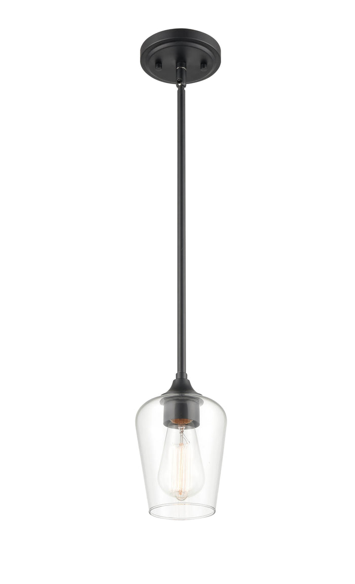 38'' Ashford Matte Black 1 Light Mini Pendant