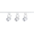 4-foot White Track Lighting Kit with 8W Output