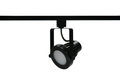 4-inch Black Track Head with 3000K Light