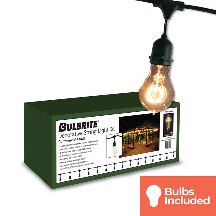 48-foot Black A19 Incandescent String Light Kit with 15 Sockets, 2200K