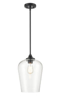 51'' Ashford Matte Black 1 Light Mini Pendant