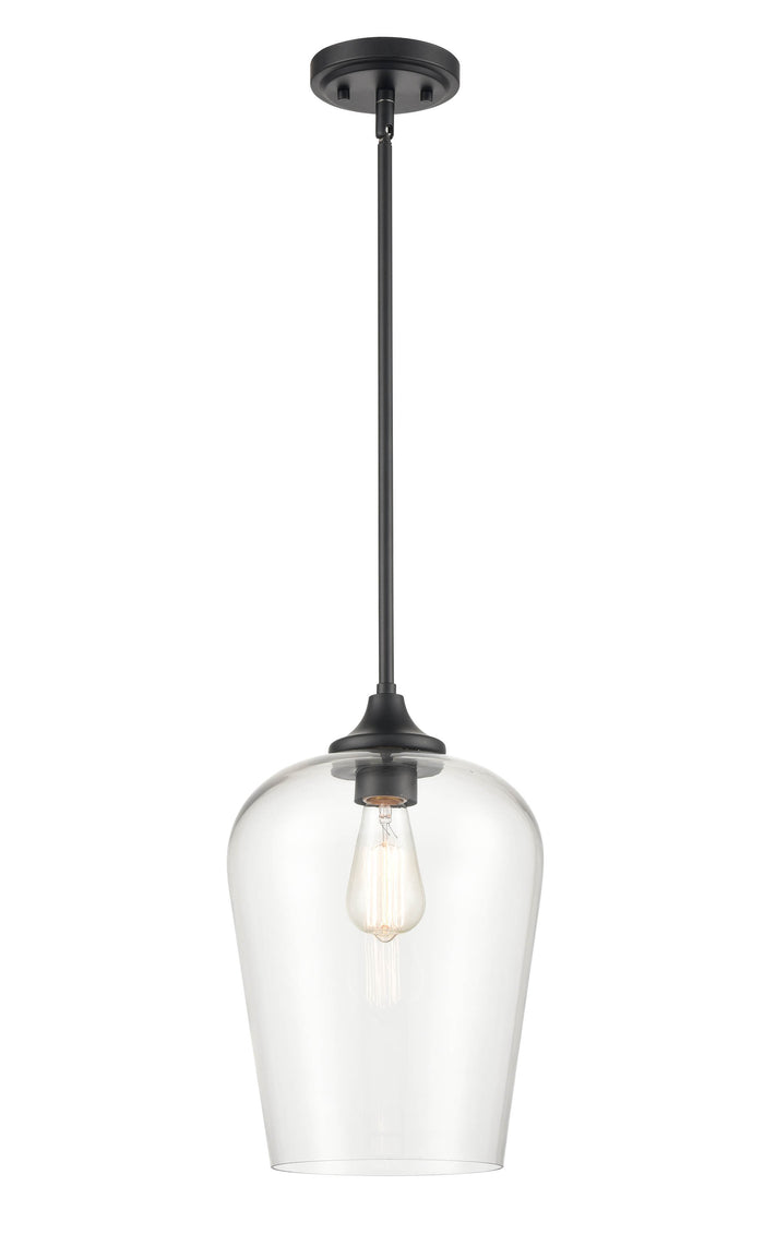 51'' Ashford Matte Black 1 Light Mini Pendant