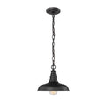 73.7'' Milltown Powder Coated Black 1 Light Hanging Lantern