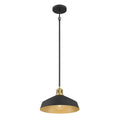 7.5'' Axlen Matte Black 1 Light Pendant