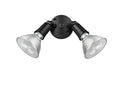 9.25''  Powder Coated Black 2 Light Flood Light
