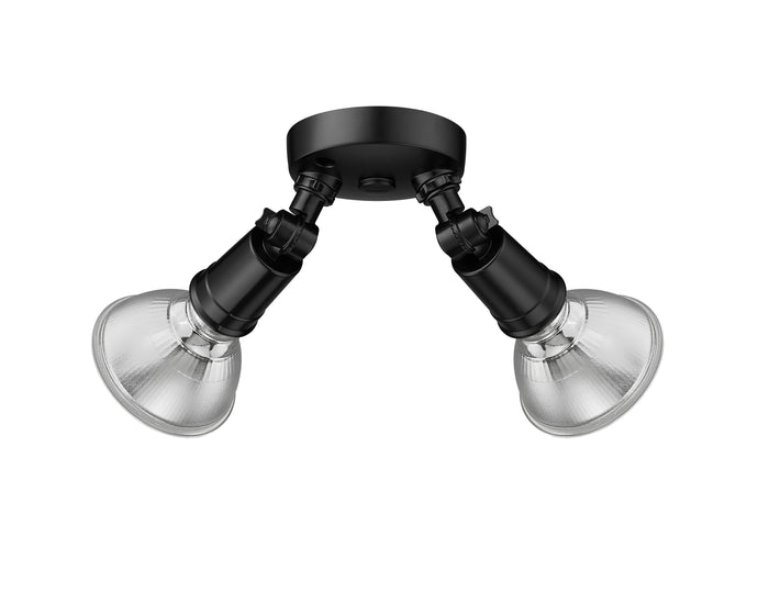 9.25''  Powder Coated Black 2 Light Flood Light